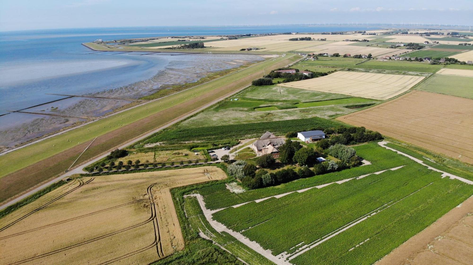 Graefinhof Leilighet Nordstrand Eksteriør bilde